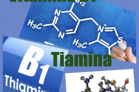 B1 | DEFICIT DI TIAMINA (Vitamina B1). Tra le cause trattabili di Neuropatia delle Piccole Fibre e Disautonomia